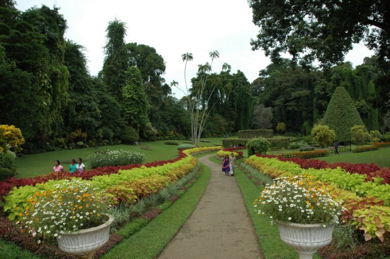 kandy-botanical-garden-sri-lanka-mysrilankatravel
