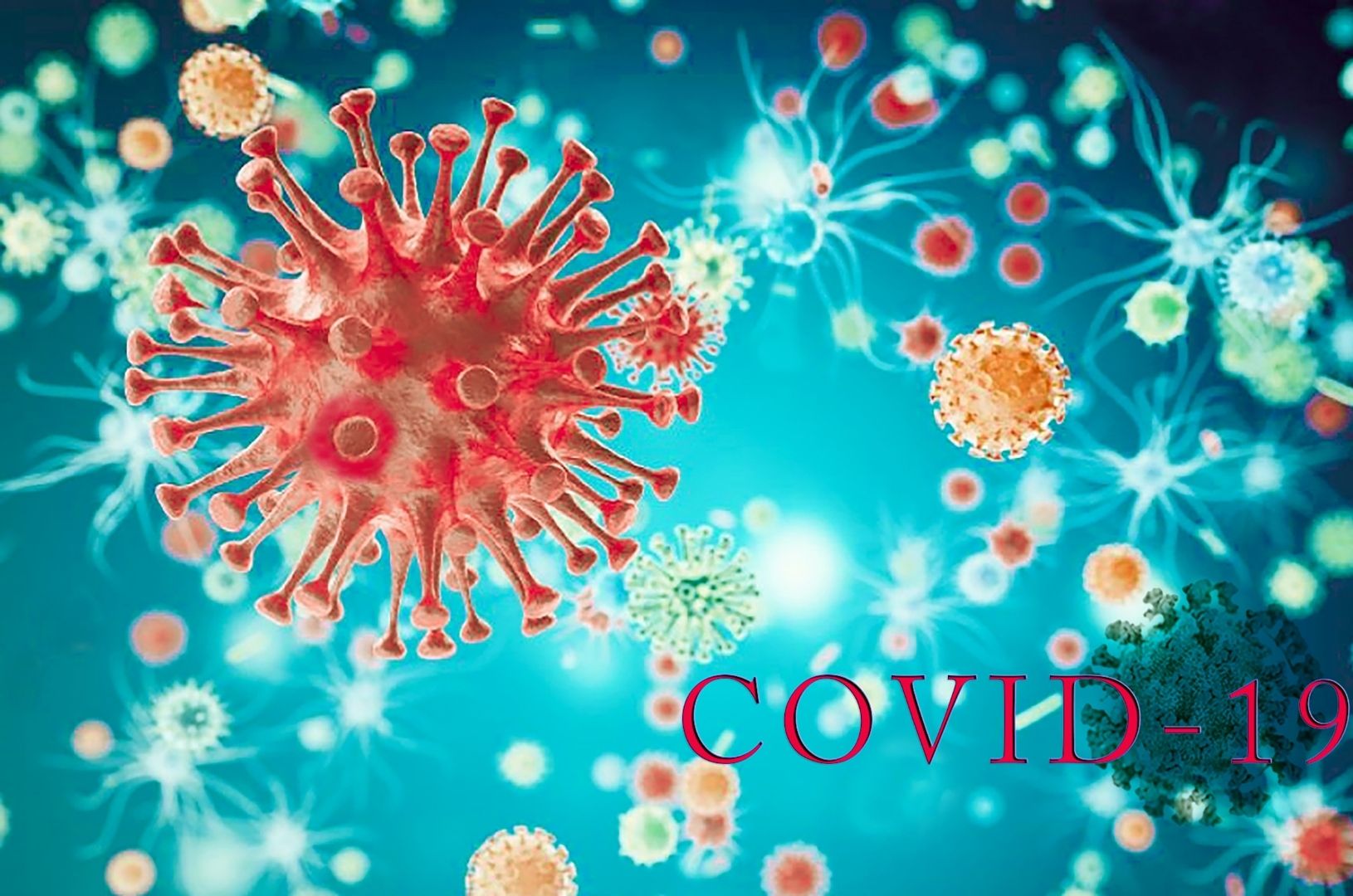 mysrilankatravel-blog-sri-lanka-covid-19-vaccination-1630x1080-11